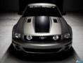 /album/fotogaleria/j283k5fn3b8av0wgpl7xwsorwd684lvz-2-jpg/